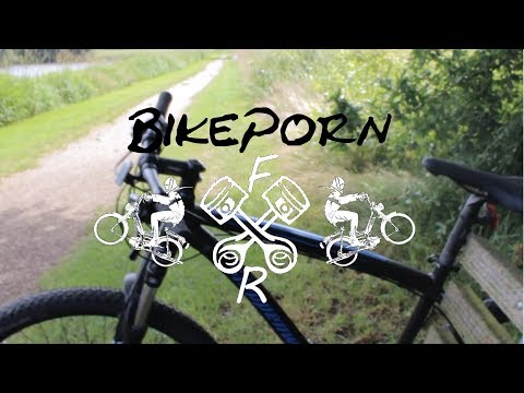 Bikeporn|MTB|Steppenwolf Timber EVO|FriesenRiders