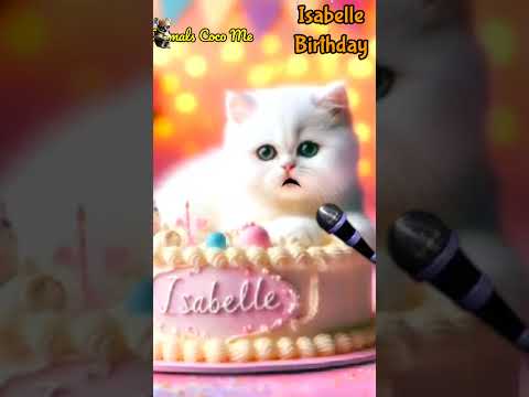 ISABELLE HAPPY BIRTHDAY | HAPPY BIRTHDAY SONG WITH NAMES | Adorable Cute Cat 😺  #happybirthday #cat