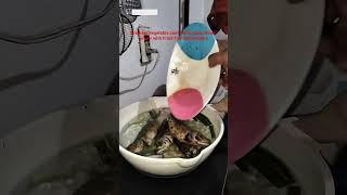Download lagu Sinabaw Vegetable Leaf Malunggay,Onion,Ginger with Fried Fish Matambaka Part2 mp3 Download lagu Sinabaw Vegetable Leaf Malunggay,Onion,Ginger with Fried Fish Matambaka Part2 mp3
