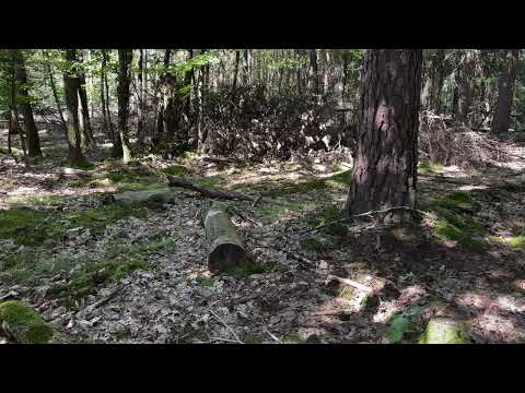 Phantomleaf Assaulterghillie Review