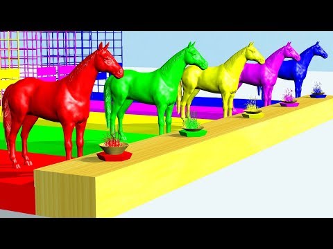 Learn Colors Animals Horse Eat Grass colorful Cartoon for Children