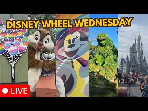 Live webcam of Disney Parks with Love