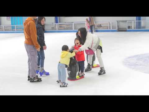 Ice Zoo