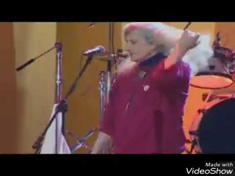 Florian Pittis - Vinovații fără vină