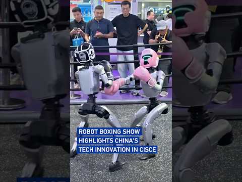 Robot boxing show highlights China's tech innovation at CISCE