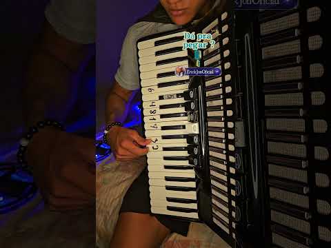 Sina De Nordestino - Morais do Acordeon
