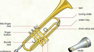 Trumpet Ess- Elem book 1 Tracks 7 - 13
