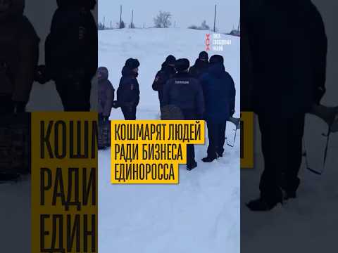 Чиновники хуже бешенства! Скот фермеров Сибири уничтожают, а у единоросса - нет