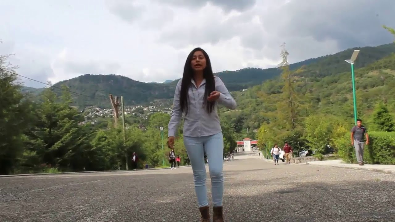 Construcción de filtros de agua para bebederos