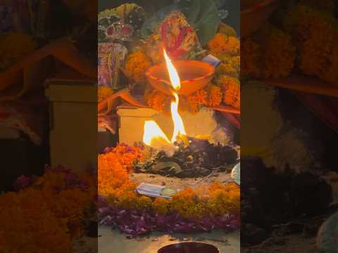 Main to kahu re bajakr dhol kalka meri hai #shirikalkamaa #sharadkelkar #straightdrive