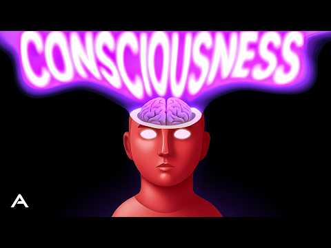 Everything We Don't Know About Consciousness