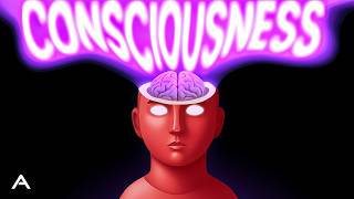 Everything We Don't Know About Consciousness