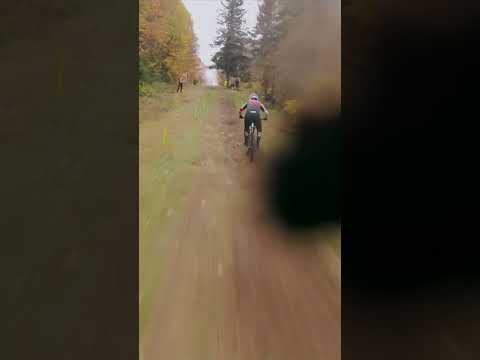Matt Walker - Ride Again - Misc Originals