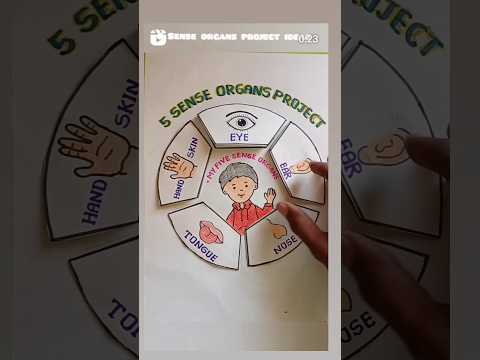 Sense Organs #senseorgans #project #shorts #shortvideoviral #art #pleasesubscribe