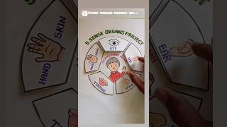 Sense Organs #senseorgans #project #shorts #shortvideoviral #art #pleasesubscribe