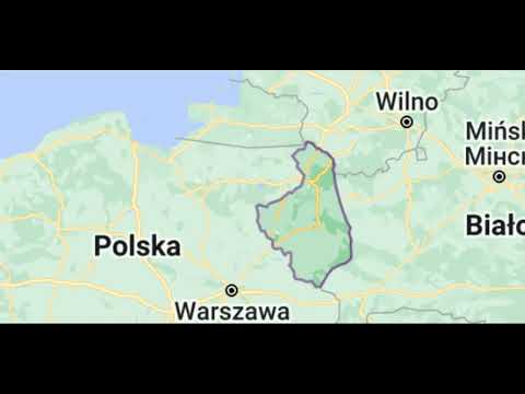 Stempel x MłodyCzedar - patotrap