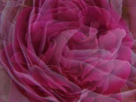 Soy Lo Prohibido - Musica De Los 60s Y 70s En Espanol