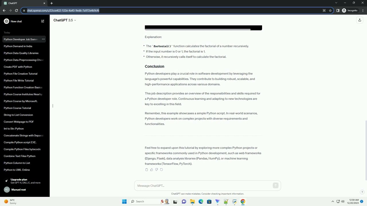 python developer job description