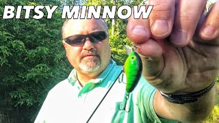 Strike king bitsy minnow