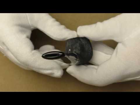 L'Anatra Pettinata - pipe 396