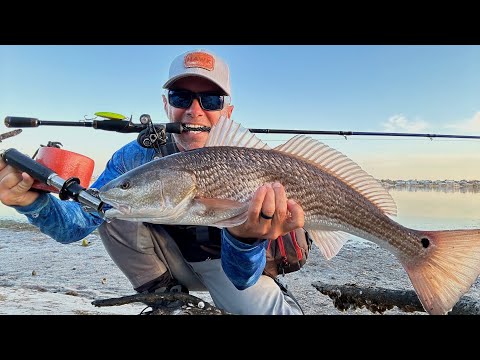 Wading for Redfish, Specks + More! (Catch & Cook)