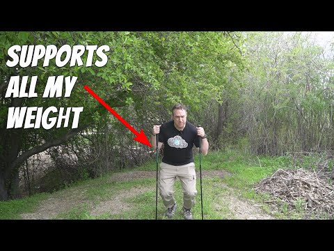TheFitLife Collapsible Trekking Poles for Hiking Review – Lightweight Folding Walking Sticks