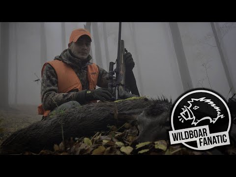 DRÜCKJAGD IN TSCHECHIEN VOL.2                                                            #Drivenhunt