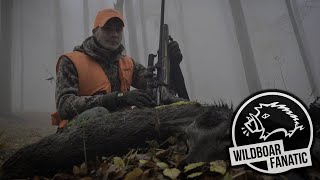 DRÜCKJAGD IN TSCHECHIEN VOL.2                                                            #Drivenhunt