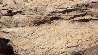 preview picture of video 'Butler Wash Ruins Overlook, UTAH'