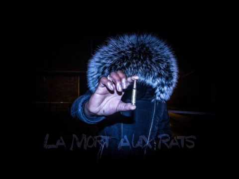 Maestro_13 La poudre