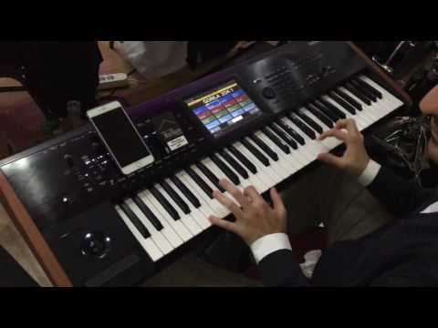 Bobi Nikolic Cergar Pink sala Drajf