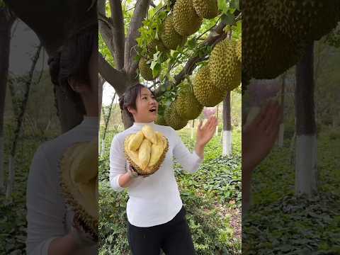 How To Growing Jackfruit 🥝 World Best Nature Fruits Enjoy Beautiful Chinese Garden 🏡 Rear Fruit