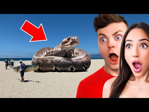 World’s Craziest DISCOVERIES Caught On Camera!