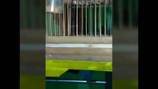 Download lagu Suara pleci pancingan buat belajar ngekek mp3 Download lagu Suara pleci pancingan buat belajar ngekek mp3