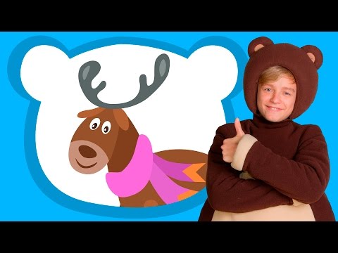Новый Год Медведя Новый Год Медведя