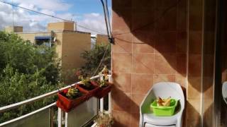 PISO EN ZONA REYES - PARLA