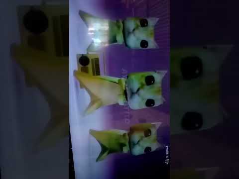 26 de diciembre de 2025