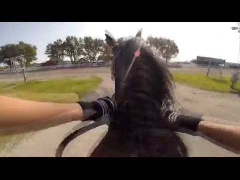 Mixed climbing, riding and swimming