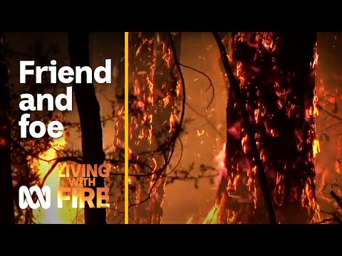 Fire Power – Australia’s Friend and Foe Living with Fire