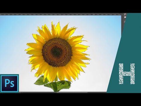 Adobe Photoshop основы знакомство с программой