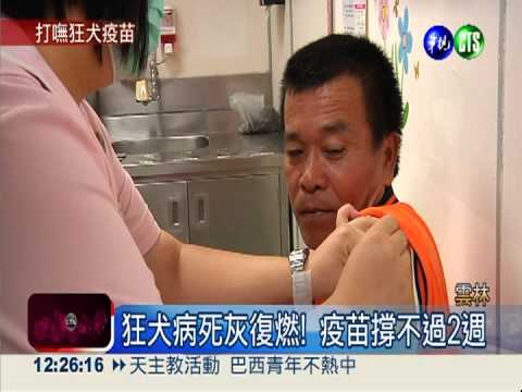 古坑驚爆狂犬病 全台疫苗剩400劑