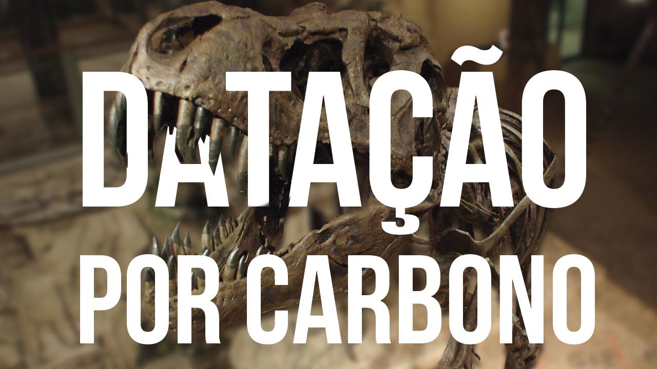Como Funciona a Datação por Carbono?