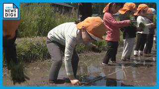 園児たちが田植え体験 ロープにそって丁寧に… 秋にはとれた｢もち米｣で餅つき “食への理解深めて” 岐阜･高山市