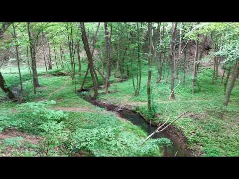 Pădure de lângă Luncavița din judetul Tulcea