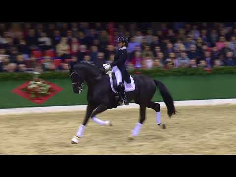 DESTANO - www.gestuet-sprehe.de