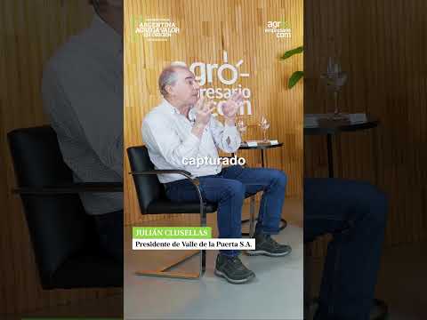 Julián Clusellas - Presidente de Valle de la Puerta S.A