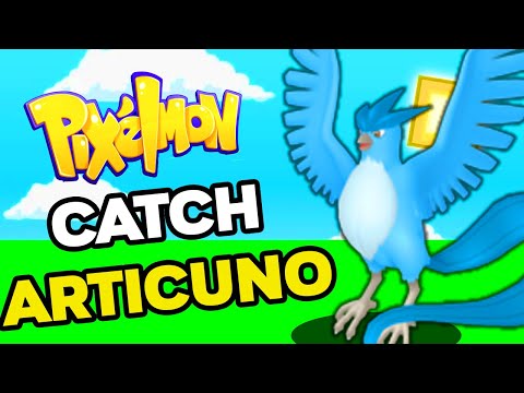 How to Find ARTICUNO in PIXELMON Reforged 9.1.13!