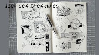 sketchbook session | deep sea creatures
