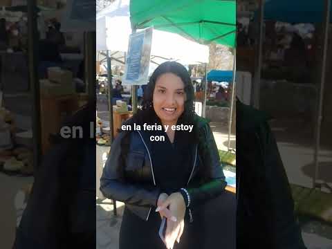 feria de villa de las Rosas traslasierra Córdoba