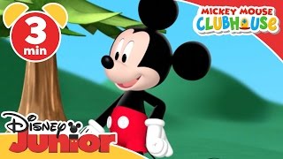 Mickey Mouse Clubhouse  Hungry Chipmunks  Disney J
